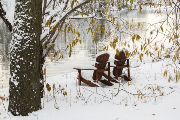 Two brown stained wooden Adirondack chairs by riverside framed by Salix - Willow tree branches covered with winter like snow in late autumn, Ile des Moulins, Old Terrebonne, Quebec, Canada