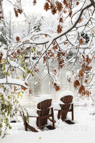 Two brown stained wooden Adirondack chairs by riverside framed by Salix - Willow and Quercus - Oak tree branches covered with winter like snow in late autumn, Ile des Moulins, Old Terrebonne, Quebec, Canada