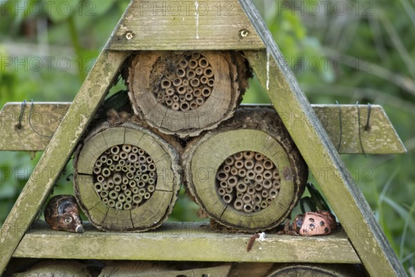 Bee or bug hotel or insect house in a garden, England, United Kingdom