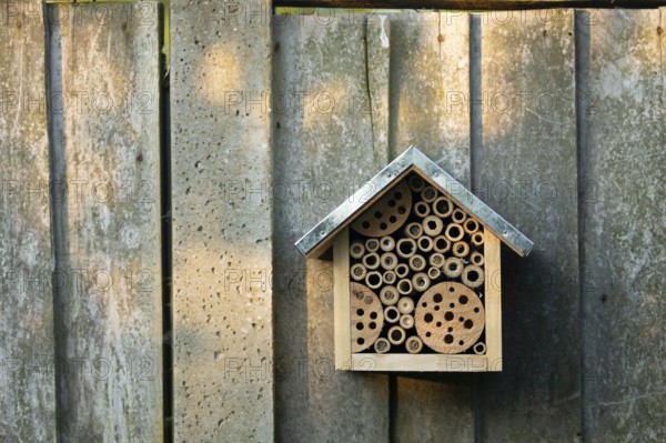 Bee or bug hotel or insect house on a wooden fence in a garden, England, United Kingdom