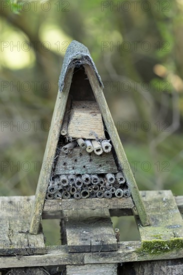 Bee or bug hotel or insect house in a garden, England, United Kingdom