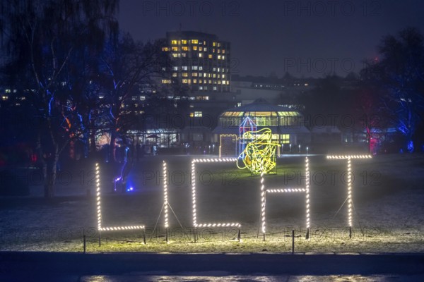 Park lights, events in winter, in the Grugapark in Essen, many different light installations, across the park, attract many thousands of visitors, North Rhine-Westphalia, Germany