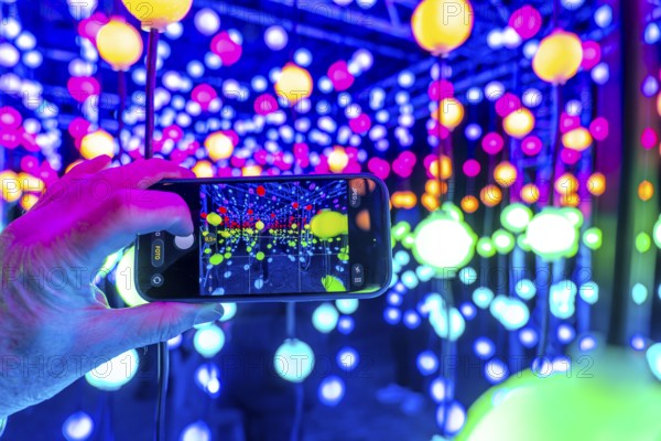 Park lights, winter event, in the Grugapark in Essen, many different light installations, across the park, attract many thousands of visitors, light work of art consisting of many hundreds of hanging ball lamps, LEDs, with changing colors, accessible, North Rhine-Westphalia, Germany