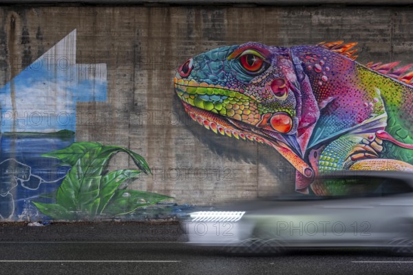 Colourful graffiti, mural, iguana or lizard in rainbow colors, in a motorway bridge underpass of the A52, in the Breitscheid junction, B227, Kölner Straße, in Ratingen-Breitscheid, artist Brosart Design, North Rhine-Westphalia, Germany