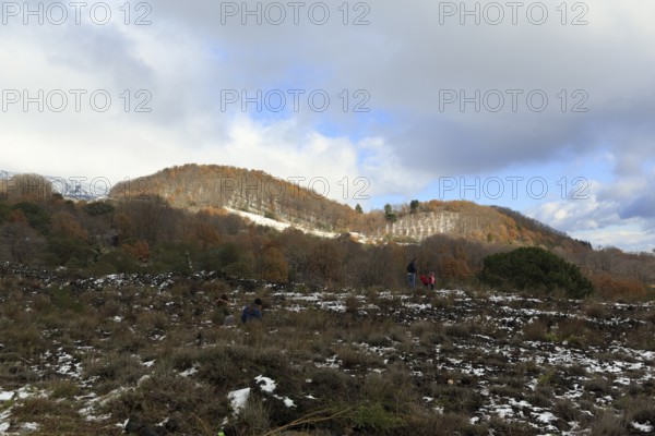 Mixed forest and heathlands at Silvestri Crater, hikers among snow remnants in volcanic landscape, Etna, Catania, Sicily, Italy