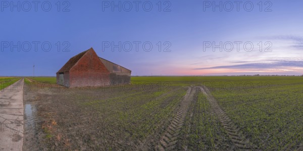 View of a field on which a rural building made of baked stone stands at sunset, Aschwarden, Schwanewede, Lower Saxony, Germany