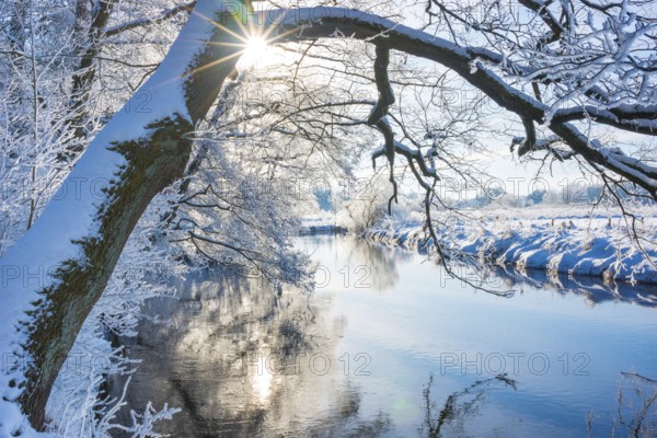 Snow-covered river landscape with trees, overhanging branch of English oak (Quercus robur) protruding over the water, bending, leaning, sun rays, sun, sun star, rays of light and blue sky, reflection, frost on branches, twigs and grasses, shore, ice crystals, forest edge, wintry, frosty, sunny, frost, icy, reflections, light reflections, reflection, stillness, tranquillity, still life, still life, winter day, winter landscape, cold, nature, winter, Ilmenau, district of Lüneburg, Lower Saxony, Germany