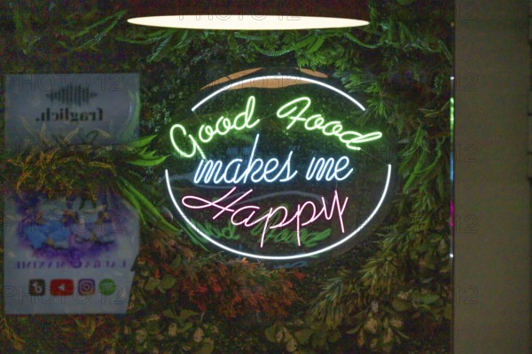 Illuminated advertising at a restaurant, Nuremberg, Middle Franconia, Bavaria, Germany