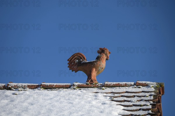 Rooster as a roof rider, blue sky, Heroldsberg, Middle Franconia, Bavaria, Germany