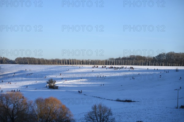 Families with children sleigh rides on a snowy slope, Tauchersreuth, Middle Franconia, Bavaria, Germany