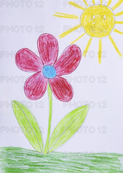Naive illustration, children's drawing, flower in the meadow with sun, Austria