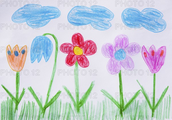 Naive illustration, children's drawing, colorful flower meadow with clouds, Austria