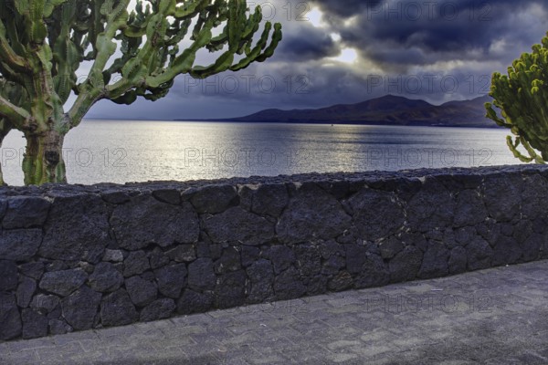 Cactus in front of a stone wall with a view of the dark sea and a cloudy sky in the background, Puerto del Carmen Lanzarote
