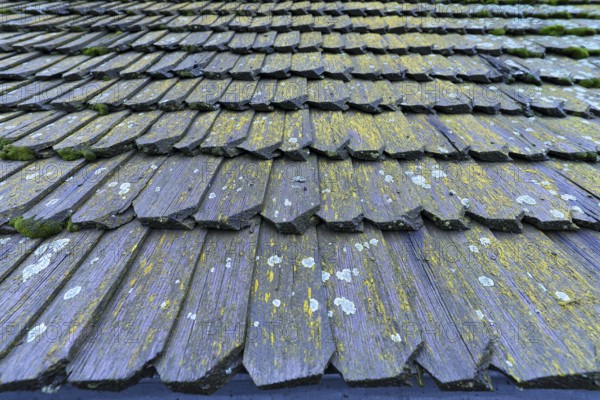 Wooden shingles of the historic wooden Trinity Church in Zhovkva city, Ukraine