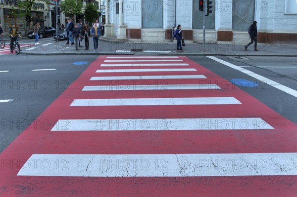 Red and white marked zebra crossing, Cluj-Napoca, Transylvania, Romania