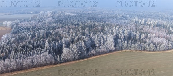 Winter forest aerial view of a mixed forest with spruces, pines, birches and beech trees covered with hoarfrost in winter sun surrounded by meadows and fields, drone photography, Baden-Württemberg, Germany