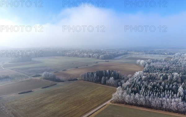 Aerial view of a winter landscape covered in clouds of fog, fields and a mixed forest with trees colored white by frost covered with hoarfrost in winter sun under a blue sky, drone photography, Baden-Württemberg, Germany