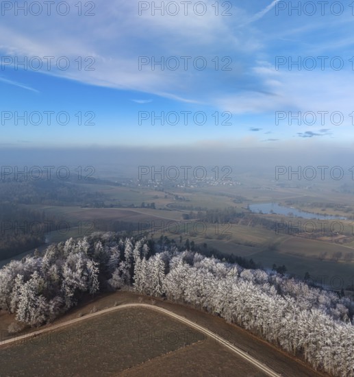 Aerial view of a coniferous forest on a hillside with spruce trees colored white from frost covered with hoarfrost in winter sun under blue sky with a winter landscape of meadows, fields and a small lake in the background, drone photography, Baden-Württemberg, Germany