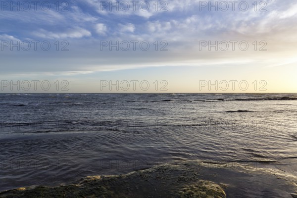 Lido Scala dei Turchi, coastline at sunset, Realmonte, Agrigento, Sicily, south coast, Mediterranean Sea, Italy