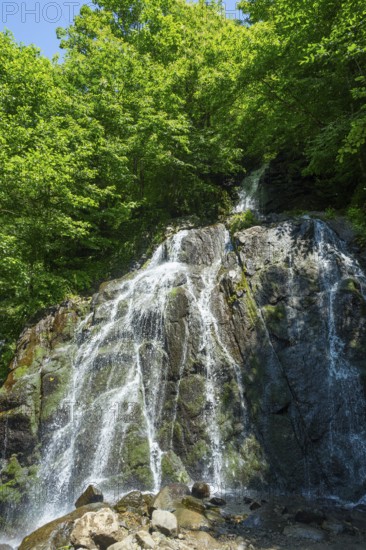 Impressive waterfall surrounded by lush forest, Delpak Waterfall, Chveletana, Mingrelia region and Upper Svaneti, Georgia