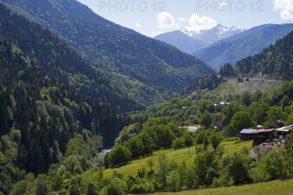 A vast landscape of green meadows and forests, surrounded by majestic mountains and clear skies, landscape near Tsalanari, Mingrelia region and Upper Svaneti, Georgia