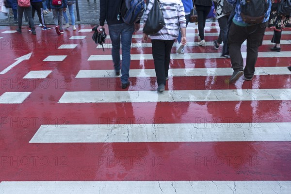 Red and white zebra crossing with pedestrians, Cluj-Napoca, Transylvania, Romania