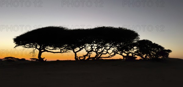 Sunset on the coast near Khahil, Oman