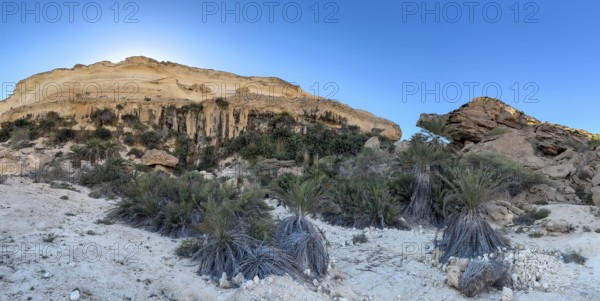 Limestone gorge of Wadi Shuwaymiyah, Dhofar, Oman
