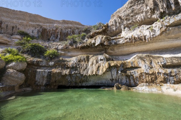 Wadi Shuwaymiyah Limestone Gorge, freshwater pool, Dhofar, Oman Dhofar, Oman