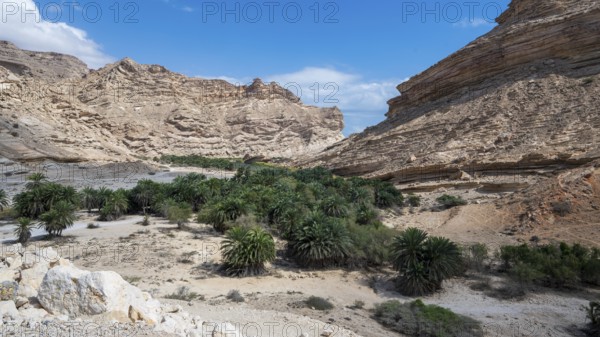 Wadi Sinaq near Hasik, Oman