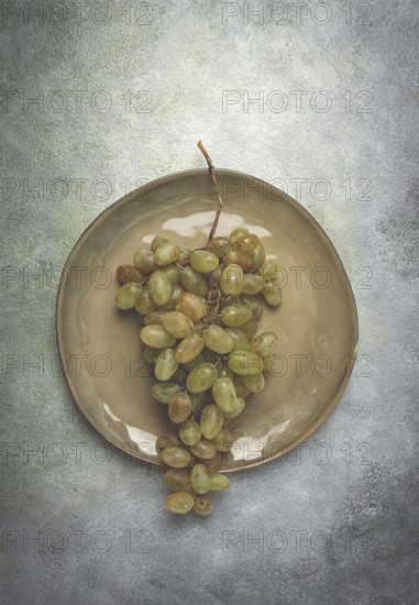 A branch of white grapes, wine grapes, Georgian grape variety Rkatsiteli, top view