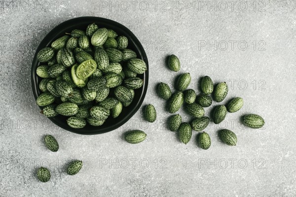 African cucumber, Mexican cucumber, mouse melon, Melothria