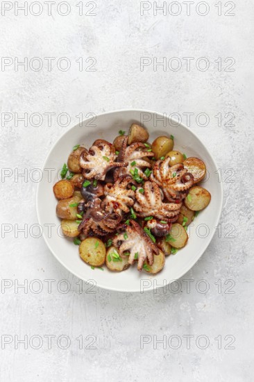 Baby grilled octopus with golden baked potatoes and fresh herbs, Maltese cuisine, homemade, no people