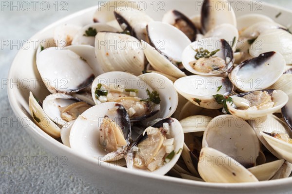 Vongole clams, with spices and white wine, top view, no people