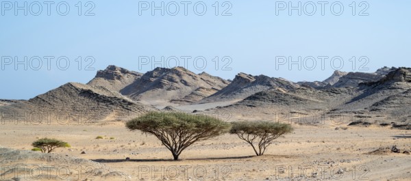 Barren landscape near Duqm, Oman