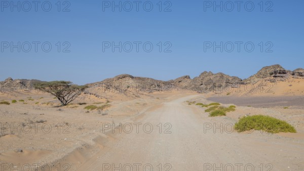 Dust road leads through barren landscape, near Duqm, Oman