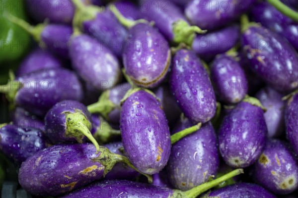 Eggplant, vegetable stand, Salalah, Oman