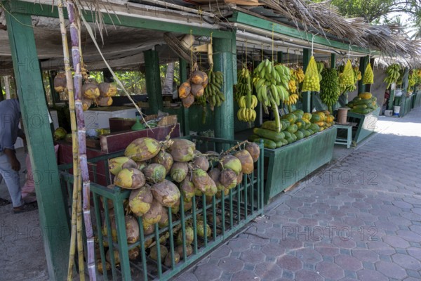 Fruit stand with bananas and coconuts, Oman