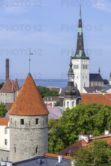 City wall towers and spire of the Baptist St. Olaf's Church, Oleviste kirik in the Old Town of the city Tallinn in summer, Harju County, Estonia