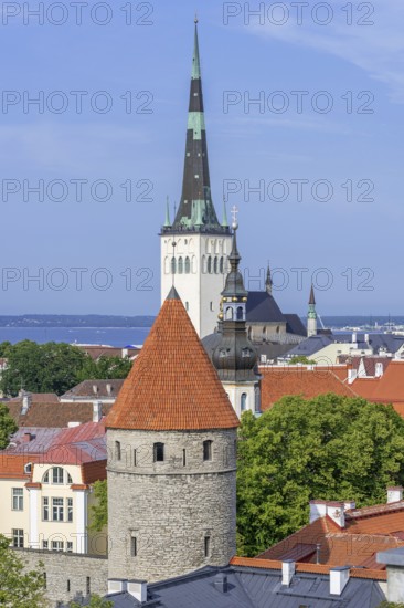 City wall tower and spire of the Baptist St. Olaf's Church, Oleviste kirik in the Old Town of the city Tallinn in summer, Harju County, Estonia