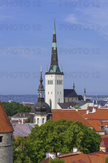 Spire of the Baptist St. Olaf's Church, Oleviste kirik in the Old Town of the city Tallinn in summer, Harju County, Estonia