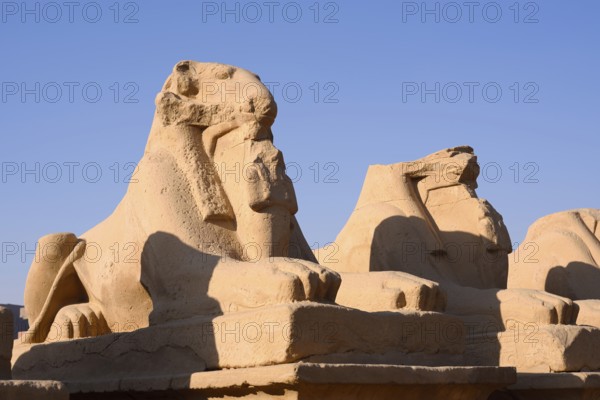 Sphinx Avenue, Karnak Temple, Luxor, Egypt