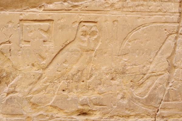 Relief of an owl, Karnak Temple, Luxor, Egypt