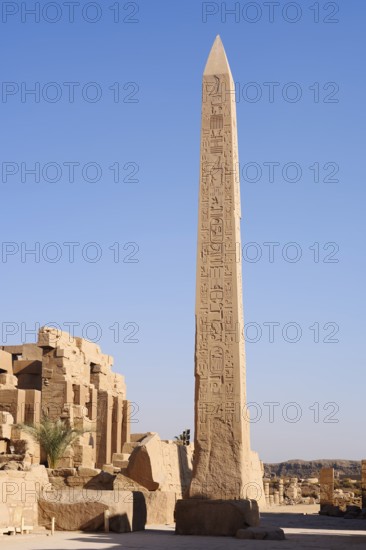 Obelisk of Thutmose I, Karnak Temple, Luxor, Egypt