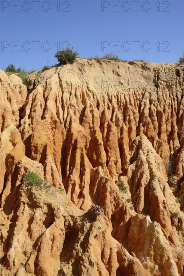 Eroded sandstone cliffs on the coast, Praia da Mesquita, Algarve, Portugal