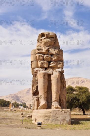 Colossi of Memnon, statue of King Amenhotep III, West Thebes, Luxor, Egypt