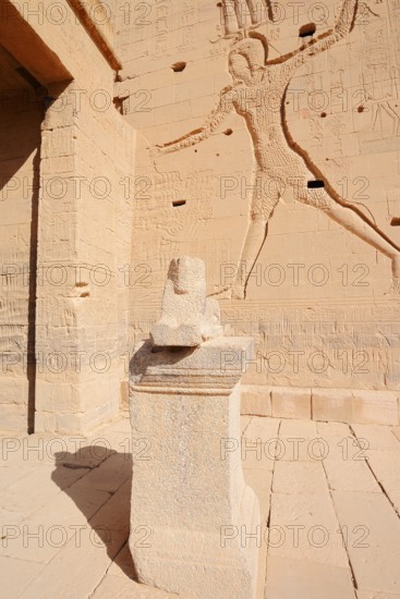 Sphinx and relief of Ptolemy XII, Temple of Philae, UNESCO World Heritage Site, Agilkia Island, Aswan, Nubia, Egypt