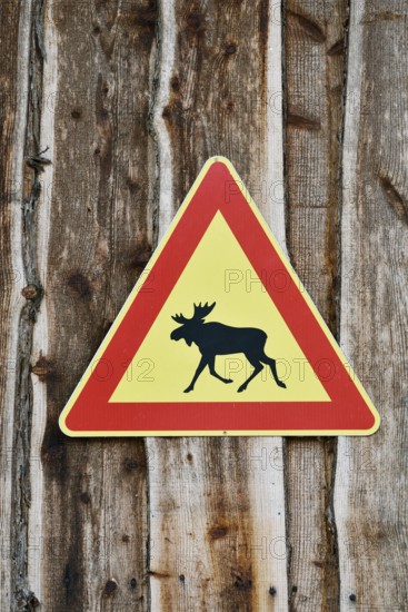 Elk warning sign, Sweden, Scandinavia