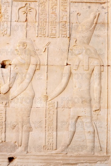 Relief of the goddess Seschat and the falcon-headed god of light and sky Haroeris, double temple of Kom Ombo, Kom Ombo, Egypt