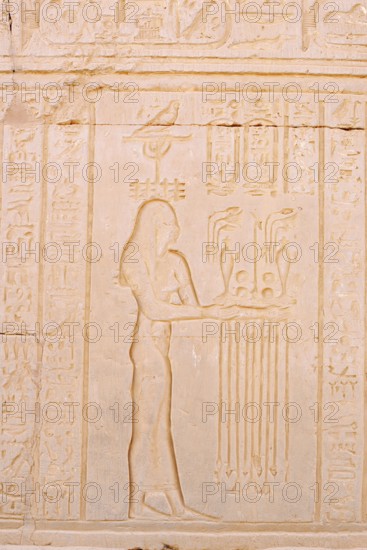 Relief at the double temple of Kom Ombo, Kom Ombo, Egypt